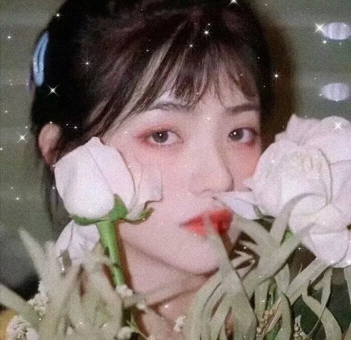 欢迎你到阿尔村